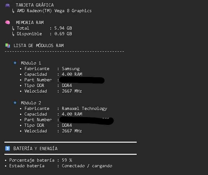 Captura de pantalla del reporte generado por el script mostrando info de sistema